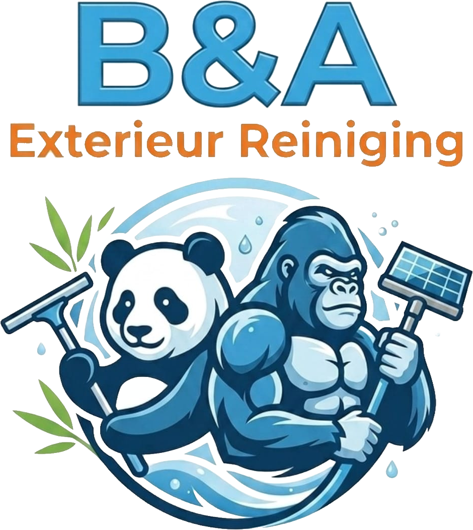 B&A Exterieur Reiniging
