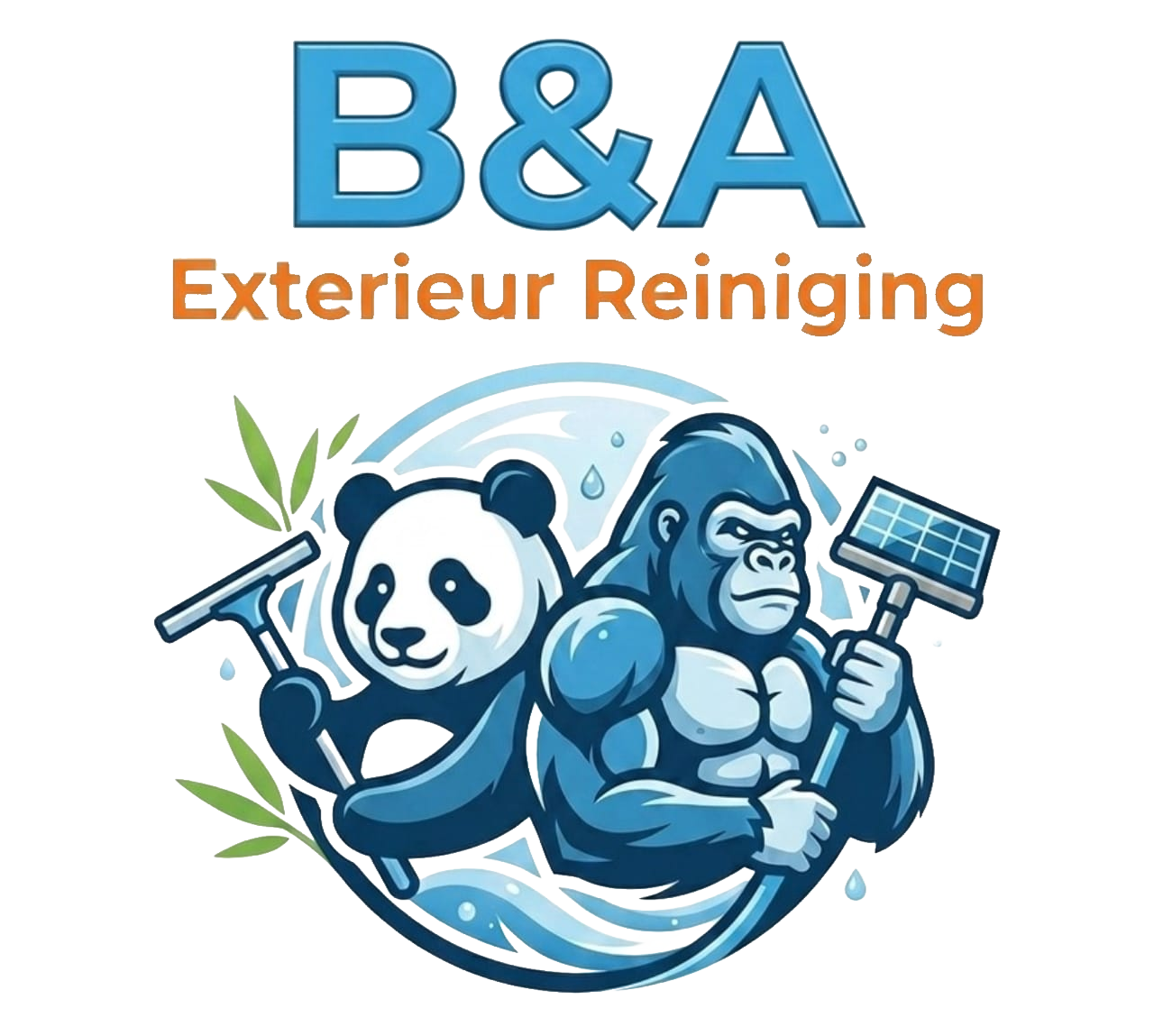 B&A Exterieur Reiniging